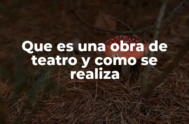 Que es una Obra de Teatro y como Se Realiza
