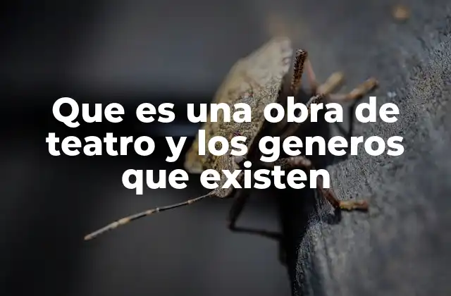 Que es una Obra de Teatro y los Generos que Existen