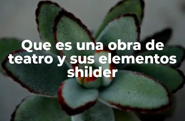 Que es una Obra de Teatro y Sus Elementos Shilder