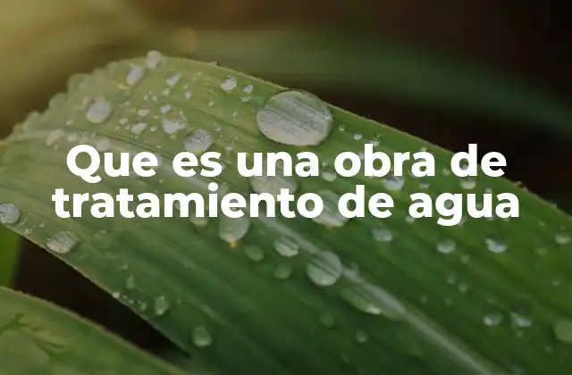 Que es una Obra de Tratamiento de Agua