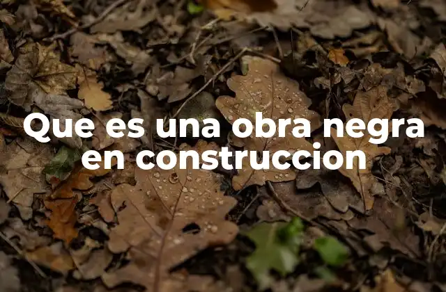 Que es una Obra Negra en Construccion