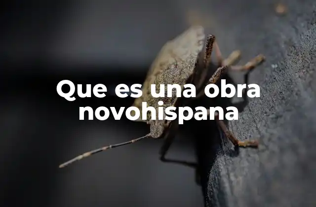 Que es una Obra Novohispana