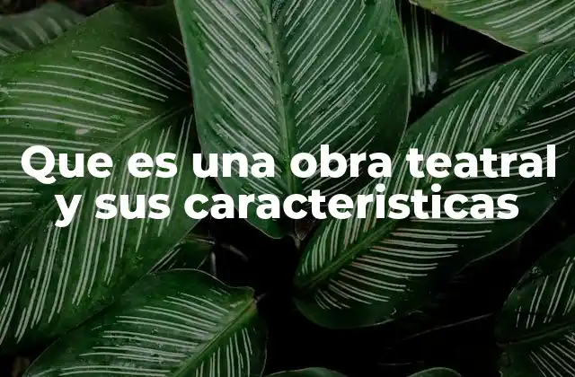 Que es una Obra Teatral y Sus Caracteristicas