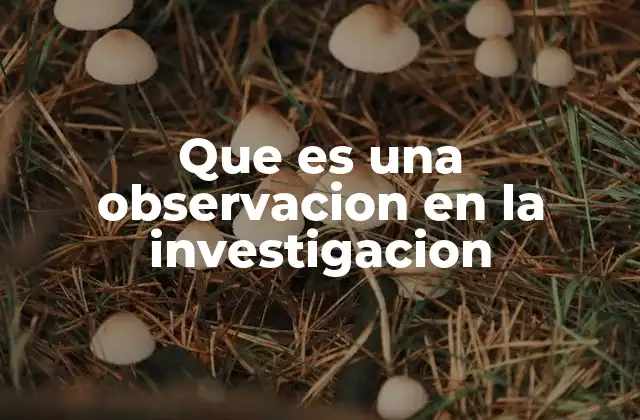 Que es una Observacion en la Investigacion