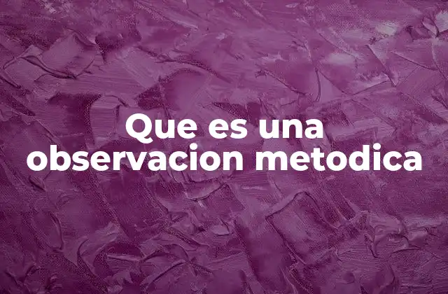 Que es una Observacion Metodica