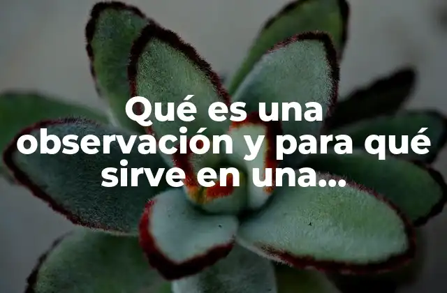 Qué es una Observación y para Qué Sirve en una Investigación