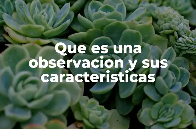 Que es una Observacion y Sus Caracteristicas