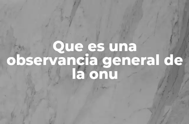 Que es una Observancia General de la Onu