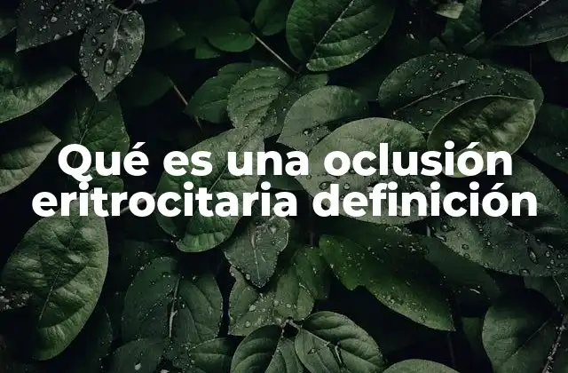 Qué es una Oclusión Eritrocitaria Definición