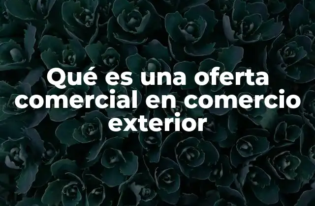 Qué es una Oferta Comercial en Comercio Exterior