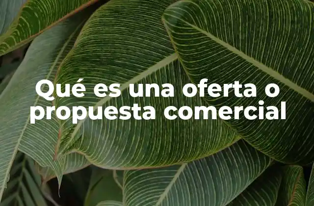 Qué es una Oferta o Propuesta Comercial