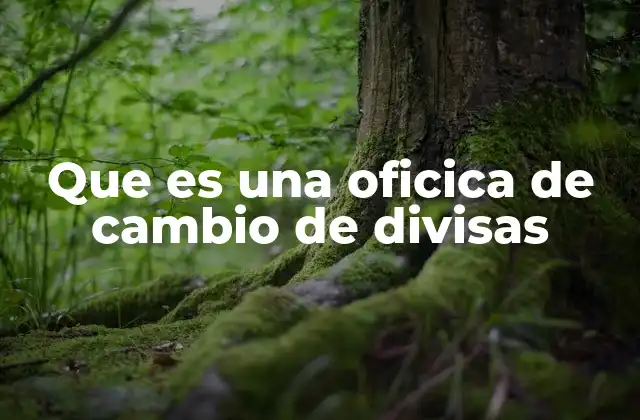 Que es una Oficica de Cambio de Divisas