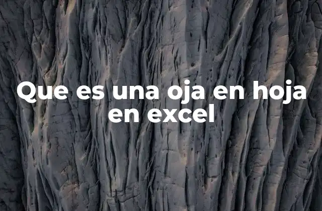 Que es una Oja en Hoja en Excel
