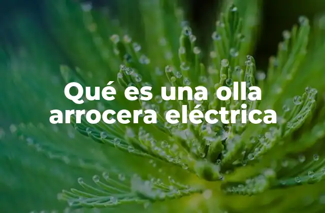 La evolución de los electrodomésticos de cocción