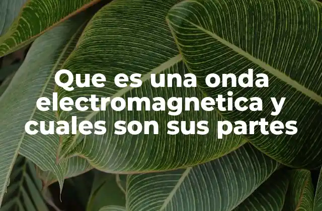 Que es una Onda Electromagnetica y Cuales Son Sus Partes