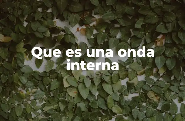 Que es una Onda Interna