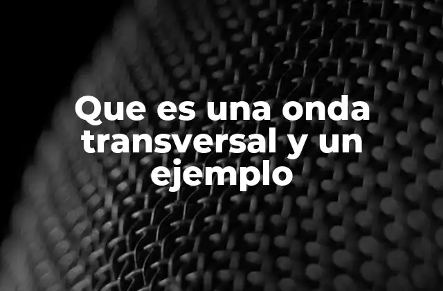 Que es una Onda Transversal y un Ejemplo