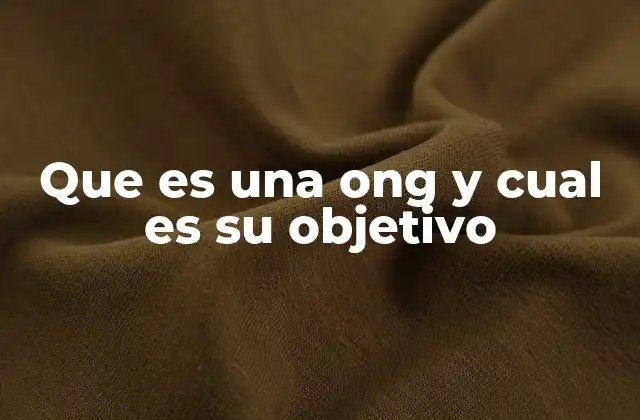 Que es una Ong y Cual es Su Objetivo