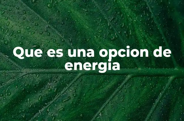 Que es una Opcion de Energia