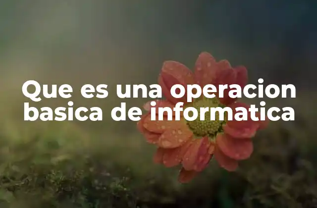 Que es una Operacion Basica de Informatica