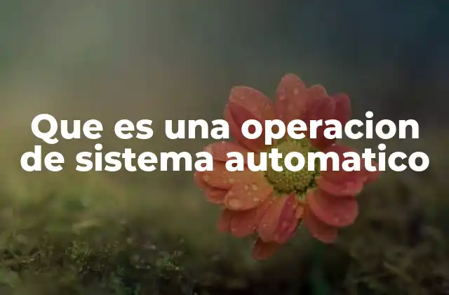 Que es una Operacion de Sistema Automatico