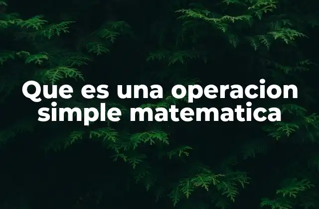 Que es una Operacion Simple Matematica