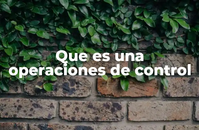 La importancia de los mecanismos de control en la gestión empresarial