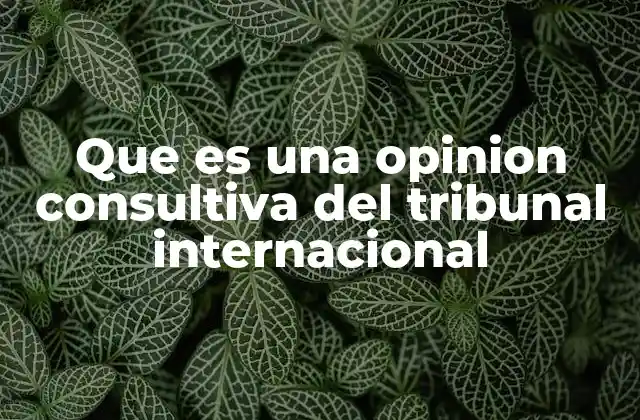 Que es una Opinion Consultiva Del Tribunal Internacional