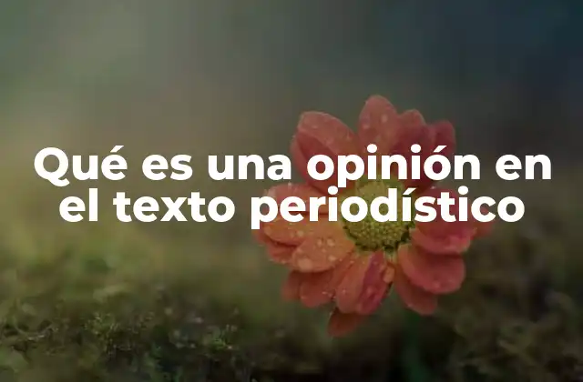 El equilibrio entre hechos y opiniones en el periodismo