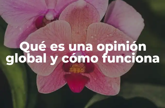 Qué es una Opinión Global y Cómo Funciona