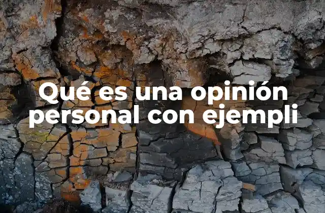 Qué es una Opinión Personal con Ejempli