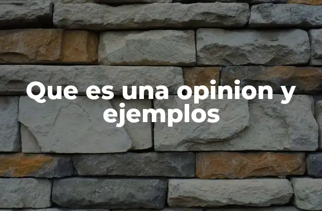 Que es una Opinion y Ejemplos