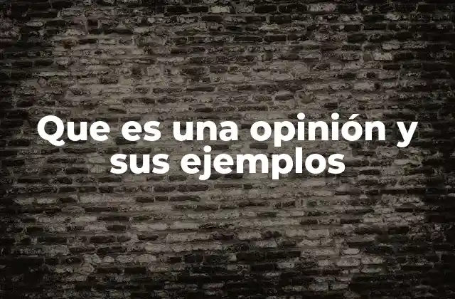 Que es una Opinión y Sus Ejemplos