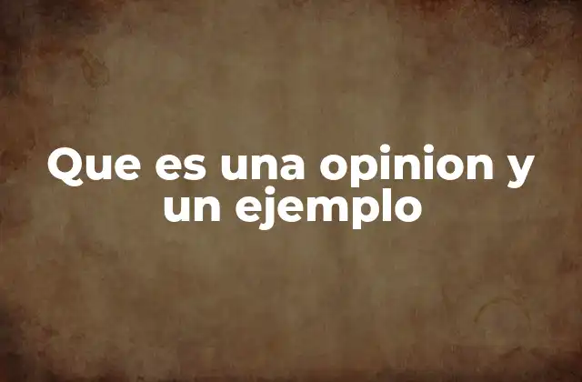 Que es una Opinion y un Ejemplo