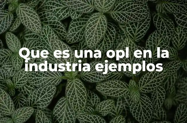 La importancia de la OPL en la gestión industrial