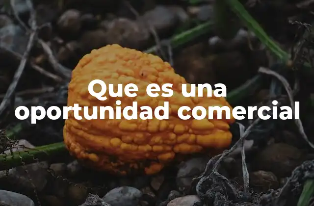 Que es una Oportunidad Comercial