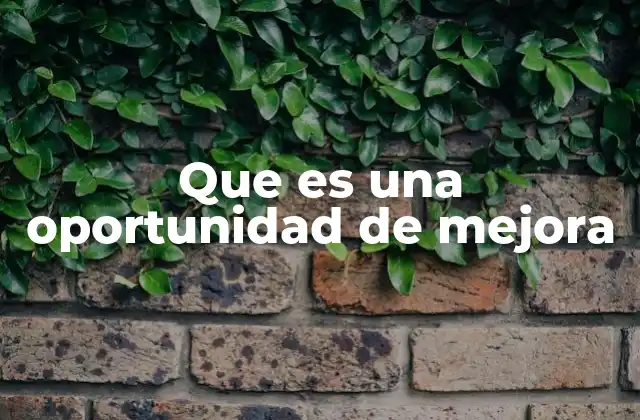 Que es una Oportunidad de Mejora