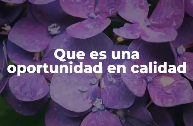 Que es una Oportunidad en Calidad