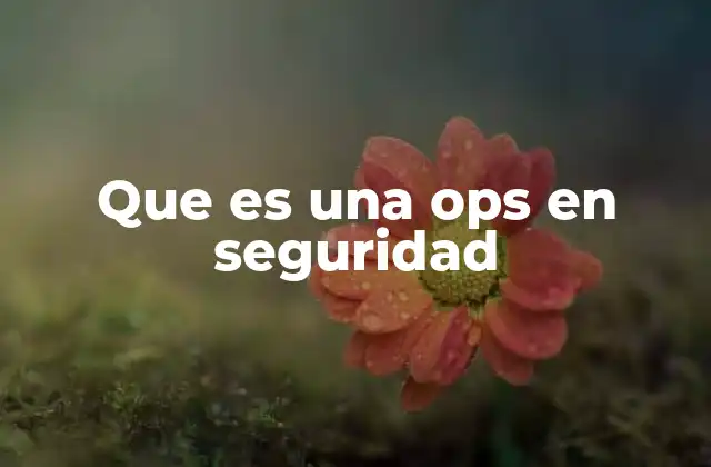 Que es una Ops en Seguridad 2 El rol de las operaciones de seguridad en entornos críticos