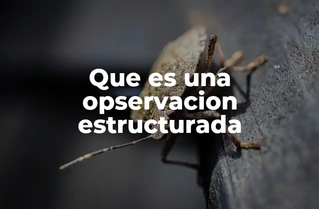 Que es una Opservacion Estructurada