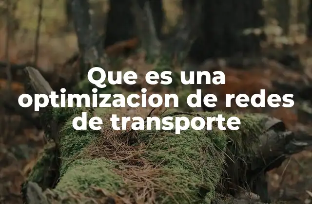 Que es una Optimizacion de Redes de Transporte 2 La importancia de mejorar la eficiencia en sistemas de transporte
