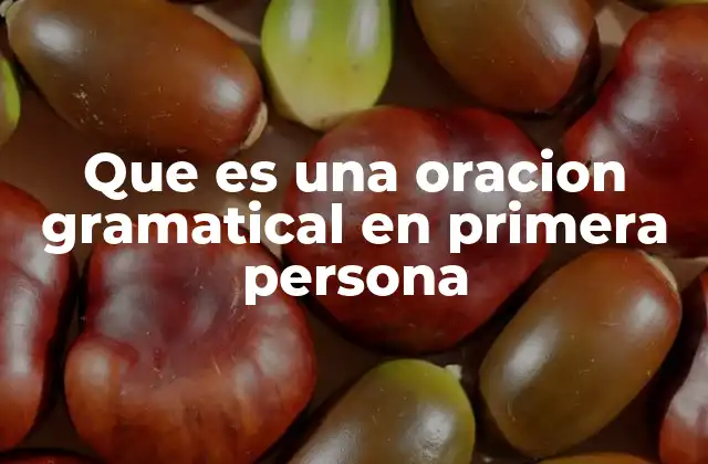 Que es una Oracion Gramatical en Primera Persona