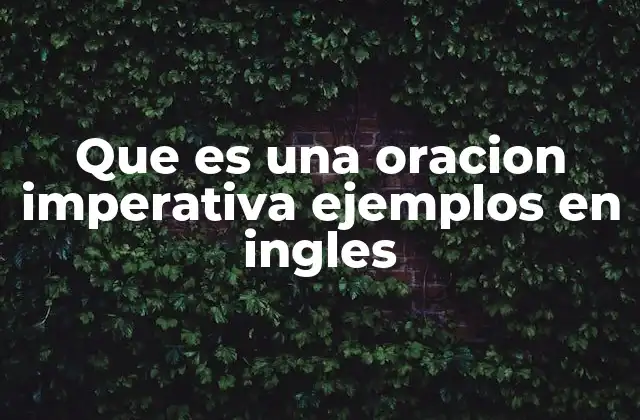 Que es una Oracion Imperativa Ejemplos en Ingles
