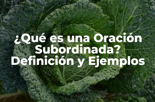 ¿qué es una Oración Subordinada? Definición y Ejemplos