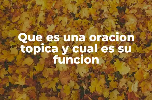 Que es una Oracion Topica y Cual es Su Funcion