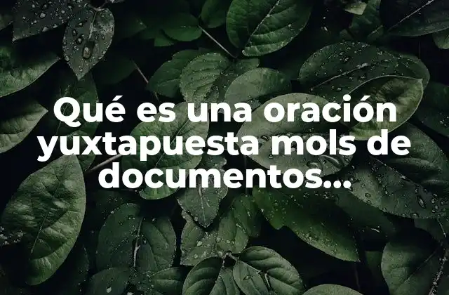 Qué es una Oración Yuxtapuesta Mols de Documentos Administrativos