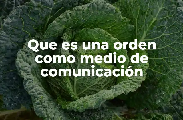Que es una Orden como Medio de Comunicación