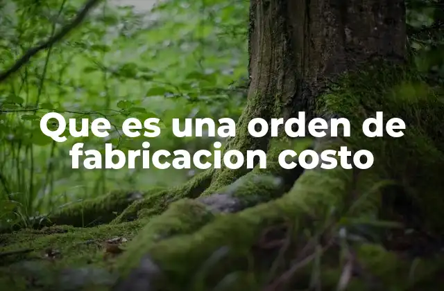 Que es una Orden de Fabricacion Costo