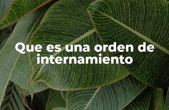 Que es una Orden de Internamiento
