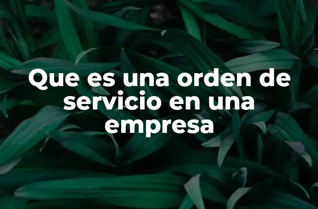 Que es una Orden de Servicio en una Empresa